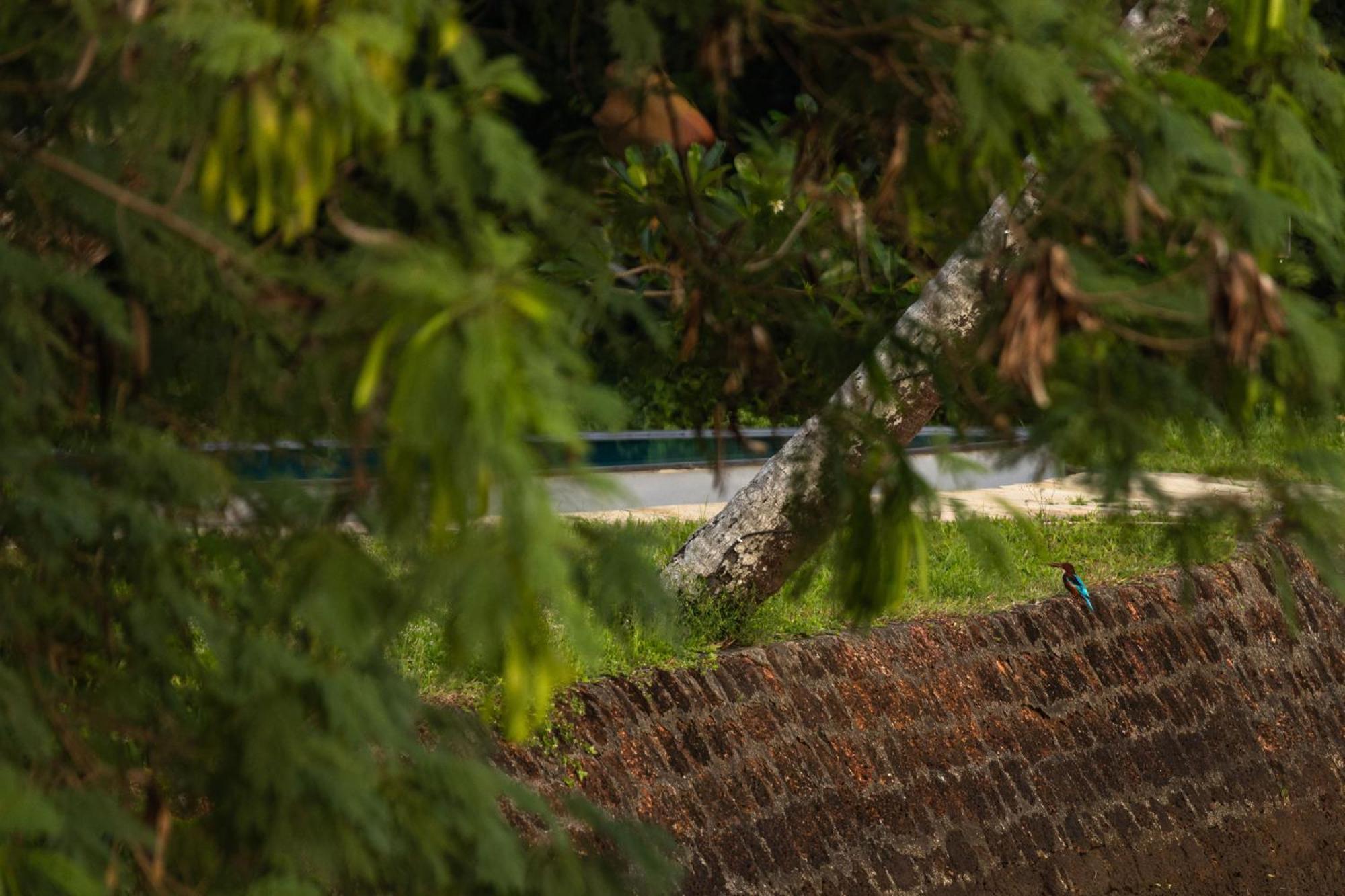 Cranganor History Cafe & Riverside Chateau North Paravur エクステリア 写真